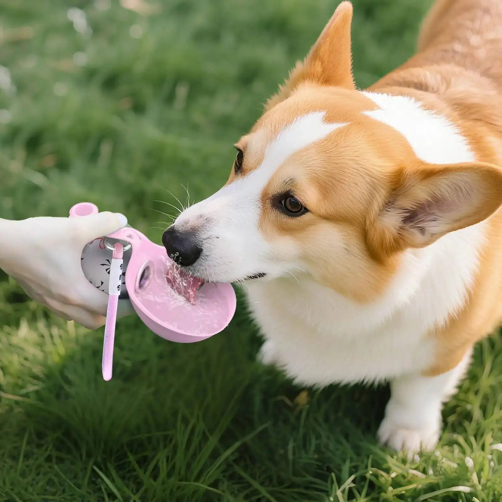 Compact Travel Dog Water Bottle